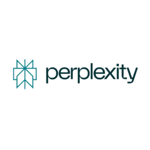 Perplexity